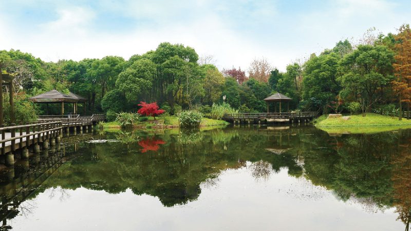 厚层基材喷射与客土喷播：差异解析与应用场景**