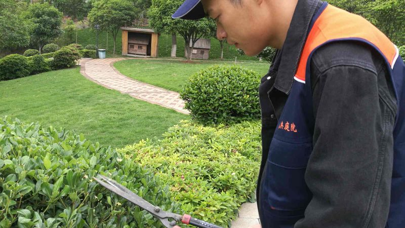 中式别墅花园设计：价格背后的考量因素