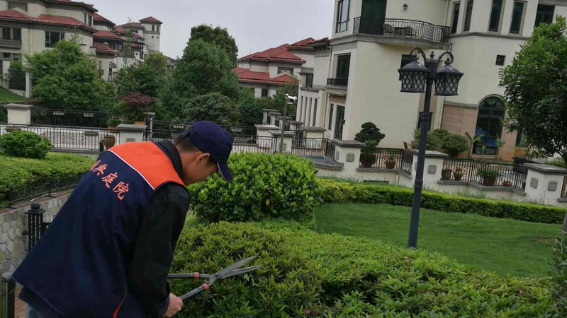 屋顶草坪防水层设计要点解析