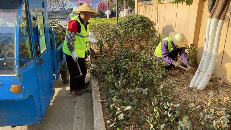屋顶绿化每平米价格之谜：揭秘影响价格的关键因素
