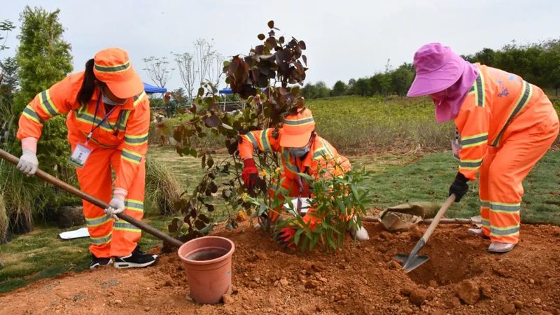 道路绿化设计施工公司对比