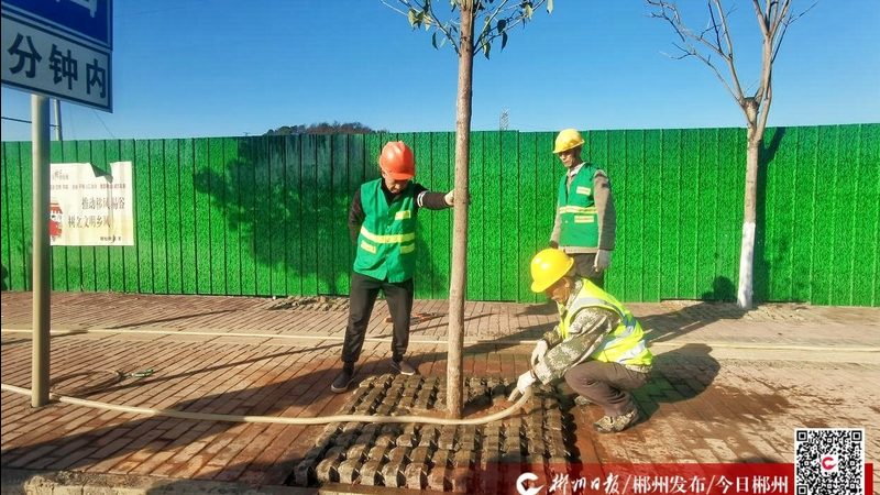 造林和苗木种植，选树逻辑大不同