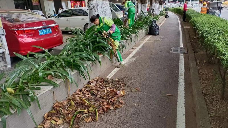 小区绿化属于市政绿化还是园林绿化