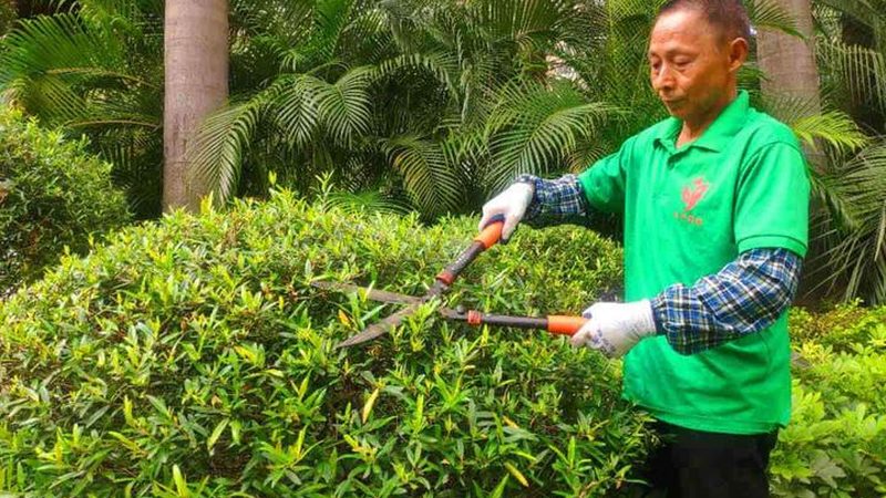 庭院绿化，选对品牌是关键**