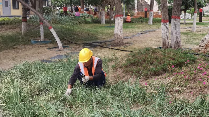 苏州园林庭院设计公司哪家好