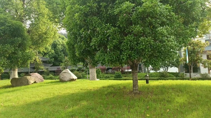 园林绿化灌溉系统水泵型号解析：如何选择合适的心脏**