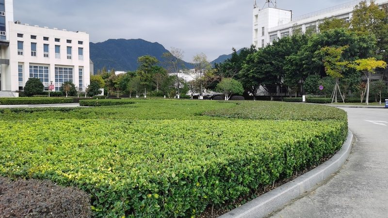 仿古青砖园林石材：探寻其独特魅力与潜在风险