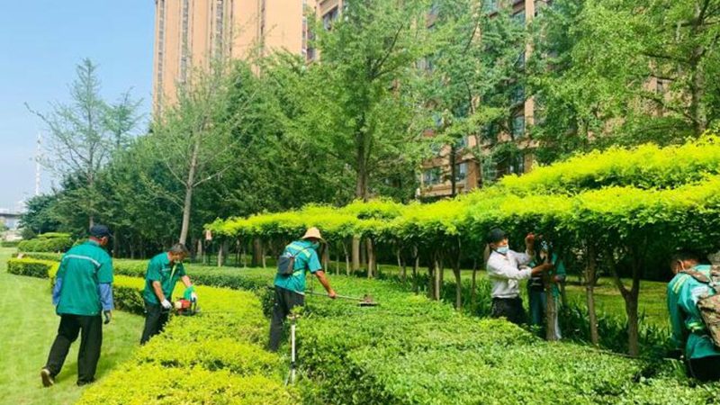 绿化资质乙级与甲级：投标优势何在？**