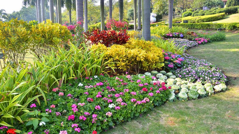 市政苗木种植报价明细：解析影响价格的关键因素**